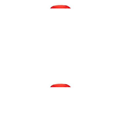 Daunenjacke für Herren